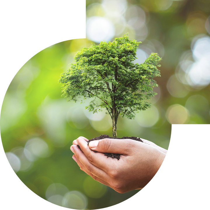 關懷人類、文化、環境與社會