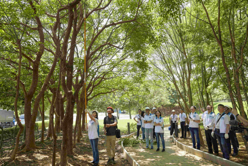 藝師教導大家認識樹木、檢查樹的健康狀況，學習修枝及碎枝覆土